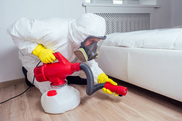 Best Pest Prevention Services  in Roundup, MT