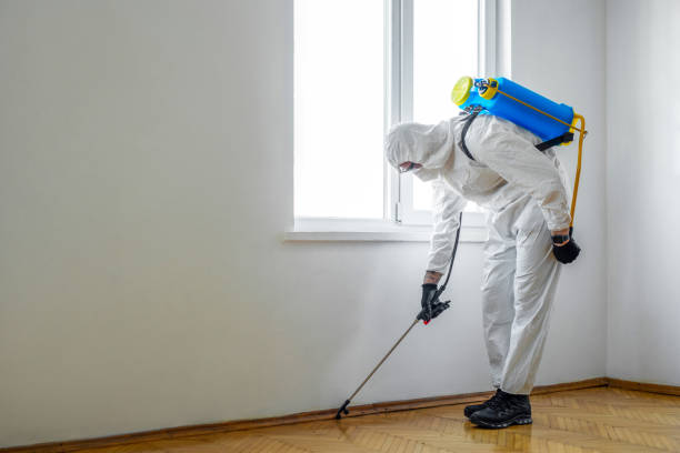 Best Best Pest Control Near Me  in Roundup, MT