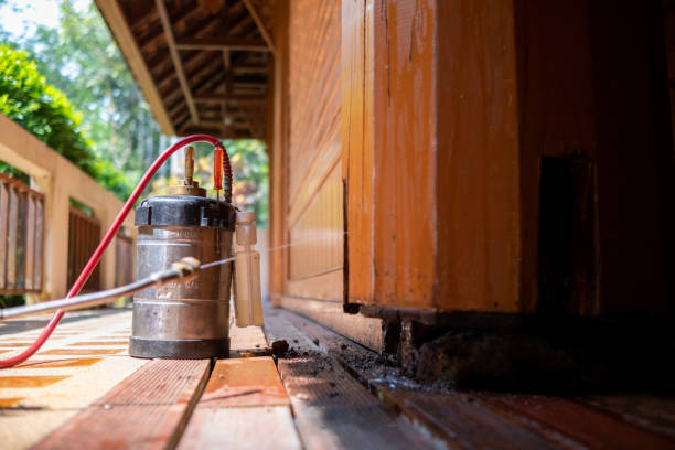 Best Ant Control Services  in Roundup, MT