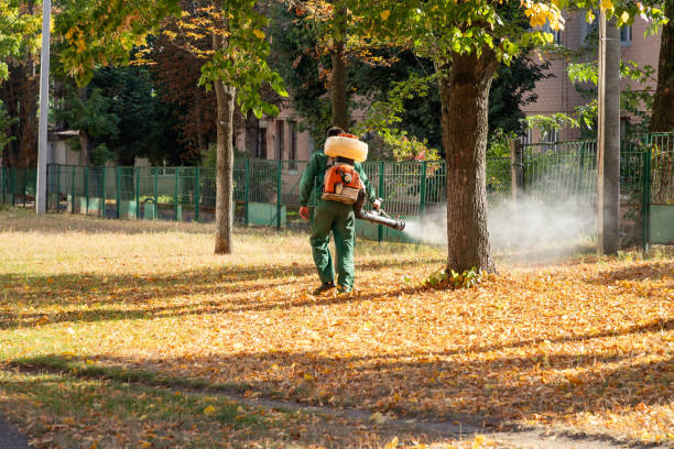 Best Exterminator Services  in Roundup, MT