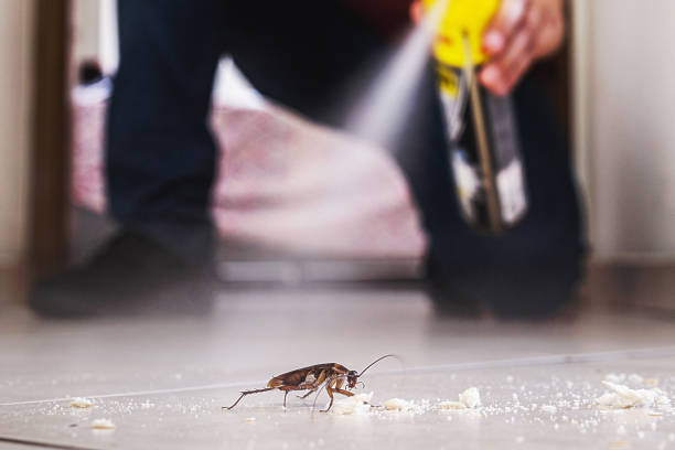 Professional Pest Control in Roundup, MT