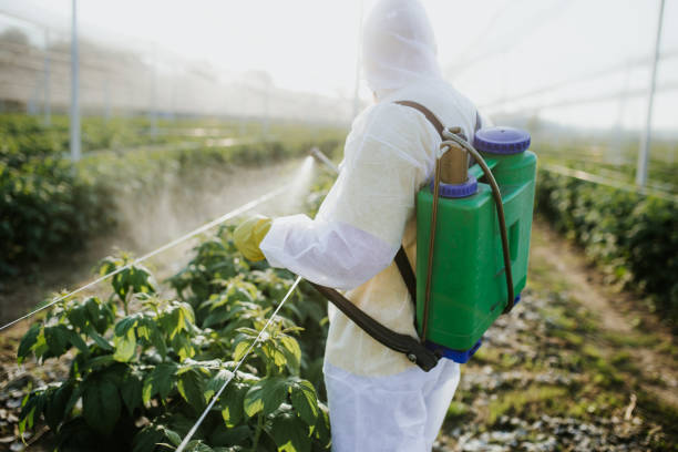 Best Pest Control Near Me in Roundup, MT